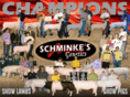 schminkelivestock.com