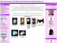 silkroad88.com