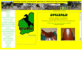 horsewest.com