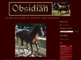 obsidianarabians.com