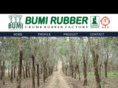 bumirubber.com