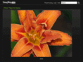 christatemphotography.com
