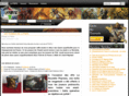 ffmtg.fr