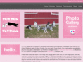 furfunflyball.com