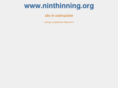 ninthinning.org