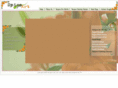 spiceartdelhi.com