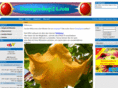 duengershop24.com