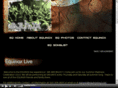 equinoxsoul.com