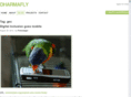 jgeo.info