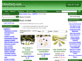 musicconfetti.com