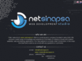 netsinapsa.com