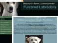 purebredlabradors.com
