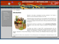 antioxidantandmetabolismcluster.com