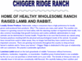 chiggerridge.net
