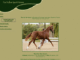 foxhollowsporthorses.com