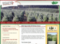 ncchristmastrees.com