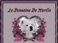 samoyededomainedemerlin.com