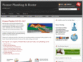pioneerplumber.com