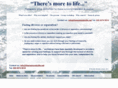 theresmoretolife.net