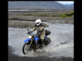 ridedualsport.com