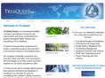 triquestgroup.com