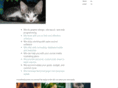 virtualflea.com
