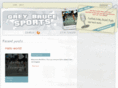 greybrucesports.com