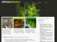 specialbranch-treesurgery.com