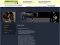 vampirehorse.com