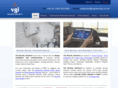 vgisecuritysolutions.com