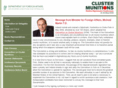 clustermunitionsdublin.ie
