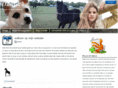 danischa.com