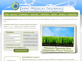 expat-medical-insurance.com