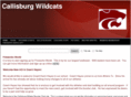 cburgwildcats.com