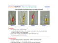 taperoller.com