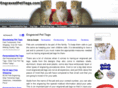 engravedpettags.com