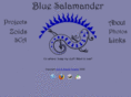 blue-salamander.com