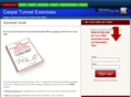 carpaltunnelexercises1.com