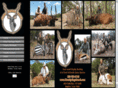 clearspringsranch.com
