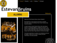 estevanbruinsalumni.com