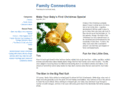 familyconnectionsin.org
