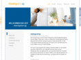 maxingvest.com