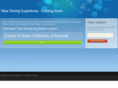 newdrivingexperience.com