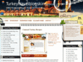 turkeytravelblogskins.com