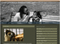 ceiworks.net