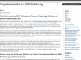 erp-einfuehrung.info