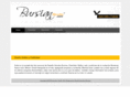 bursianstudio.com