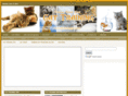 cattrainingguru.com