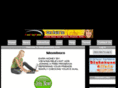 newleadsdaily.com