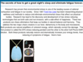 stressfreependant.com